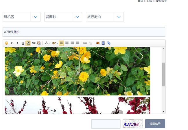 QQ截圖20150507211713.jpg