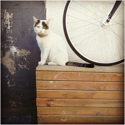 半年來用Tab S拍的各種美圖，我也是夠拼的了~