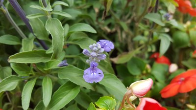 前門門店體驗(yàn)活動攝影環(huán)節(jié)拍攝作品