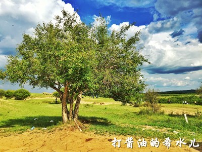 草原圖片隨手拍求贊（づ￣3￣）づ╭?～