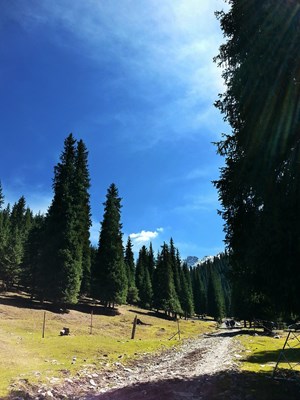 江布拉克之旅，Galaxy S5之作