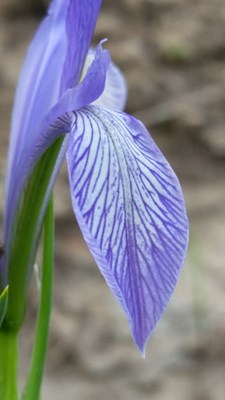 【戀之風景】心境