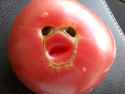 【美麗的ta】丑到極致就是美