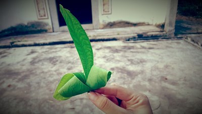 【戀之風(fēng)景】手中的風(fēng)景