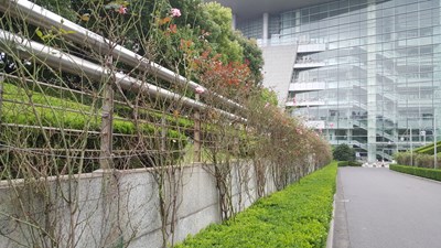 【戀之風(fēng)景】陽光下的明媚一）。