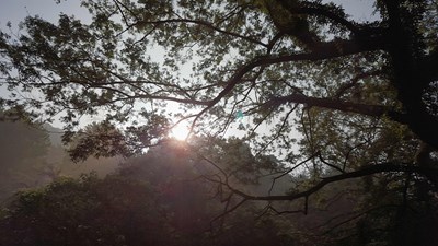 【戀之風景】湖北三潭4