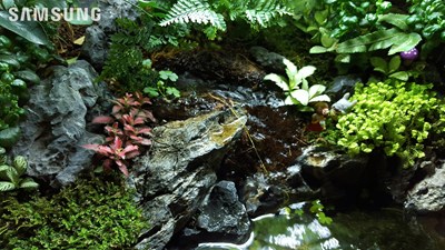 龍貓生態(tài)瓶