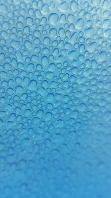 手機(jī)輔助鏡頭-微距下的美