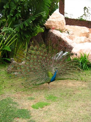 【戀之風(fēng)景】漂亮不