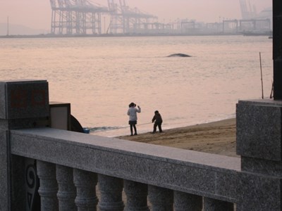 【戀之風(fēng)景】童趣