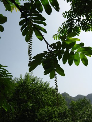 【美麗的ta】這張我最滿意