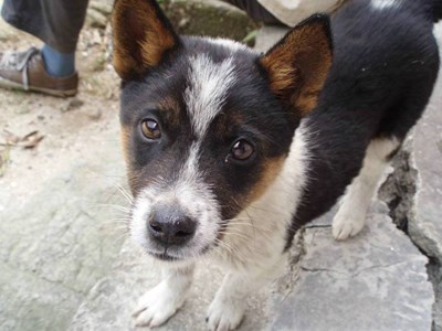 【美麗的ta】方方