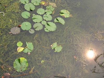 【美麗的ta】光