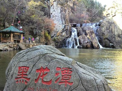 隨行