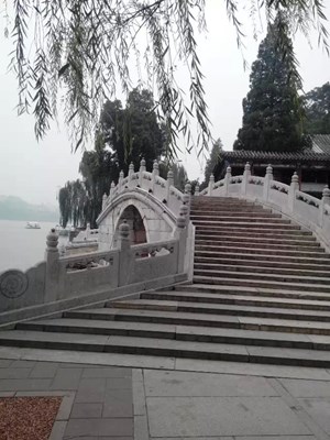【戀之風景】北海公園