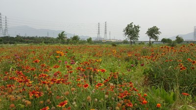 【美麗的Ta】 勞動者