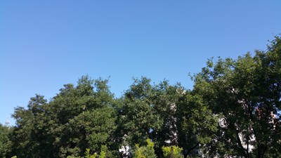 8月24號閱兵藍(lán)