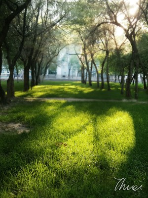 Note 5拍出插畫級美圖