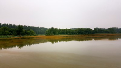 帶著大edge訪漢石橋濕地下