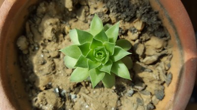 好久沒拍照片了