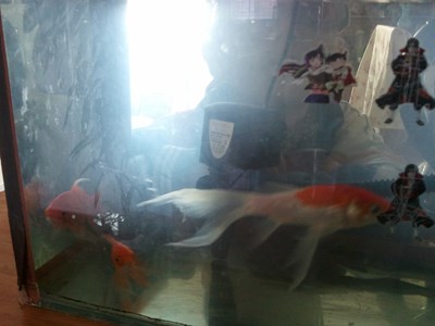 #美女與“野獸”的合影#放膽來