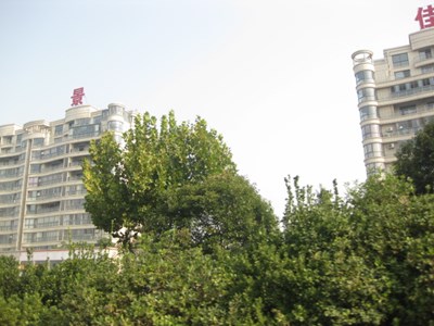 半個(gè)沭陽都在這了