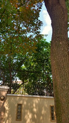 #沿路的風(fēng)景#放膽來