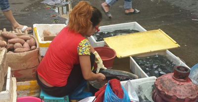 #美女與“野獸”的合影#放膽來