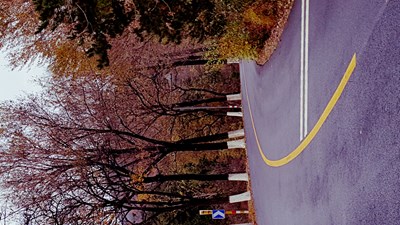 秋意正濃