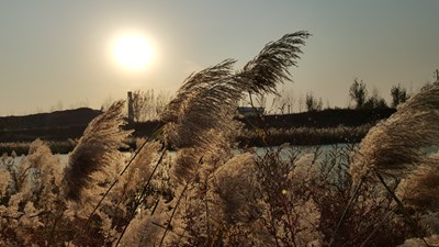 隨便拍