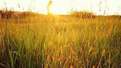 大光圈。廣角濾鏡