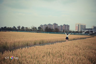   【人像攝影】鄉(xiāng)間的小路