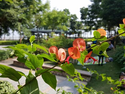 S6公司附近隨拍