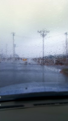 第一次發(fā)帖 隨手拍