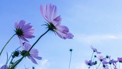 近期大片賞 第二期