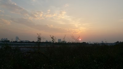 夕陽，太遠拍不了