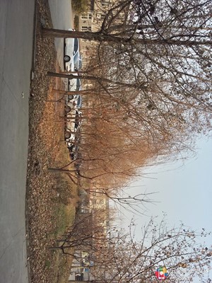 四季交替，百變天氣