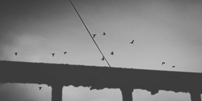 新人，note5上手2個(gè)月隨拍