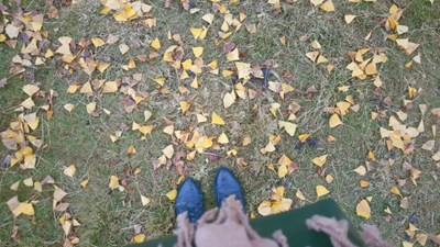 【隆冬百態(tài)】+南充+南方冬天沒有雪