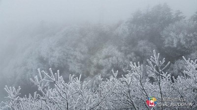 【隆冬百態(tài)】+峨眉+金頂雪景