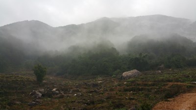 霧氣騰騰