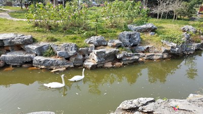 【隆冬百態(tài)】+長沙+隨手拍