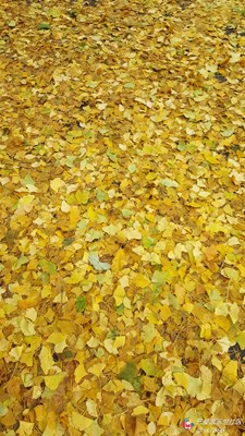 【隆冬百態(tài)】+北京+初冬的潭柘寺