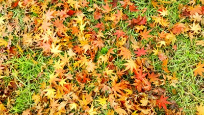 【隆冬百態(tài)】+株洲+遲到的冬天