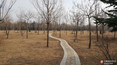 【隆冬百態(tài)】+青州+冬日風(fēng)情