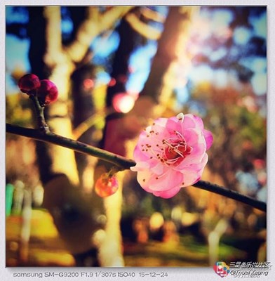 近期大片賞 第四期