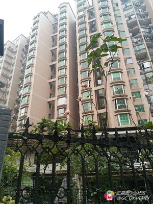 【隆冬百態(tài)】+福建+紅花不出墻