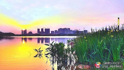 三星Note系列手機拍攝的相片