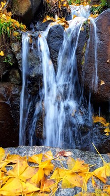 家鄉(xiāng)金寨四季美景