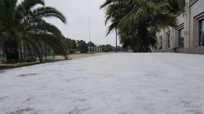 【2016/01/25】隨手拍——春城雪來襲